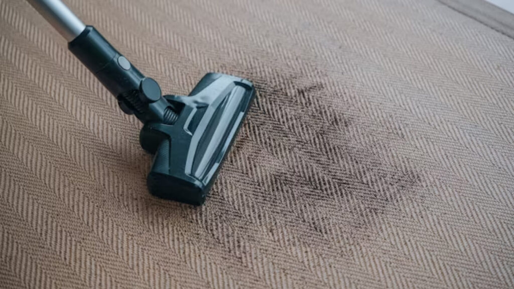 cleaning carpet