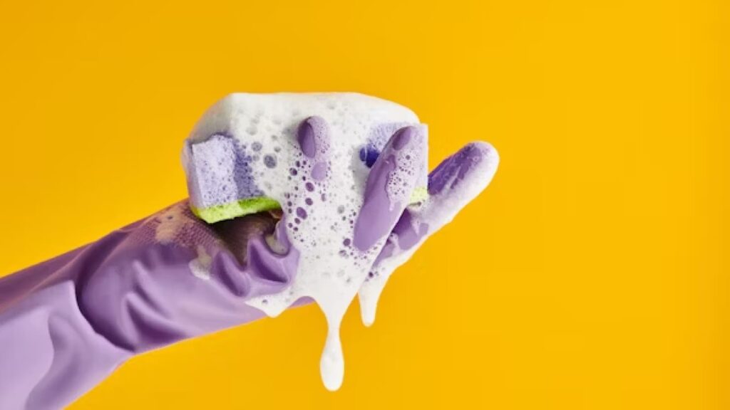 hand holding sponge