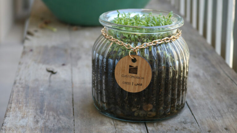 green marketing statistics