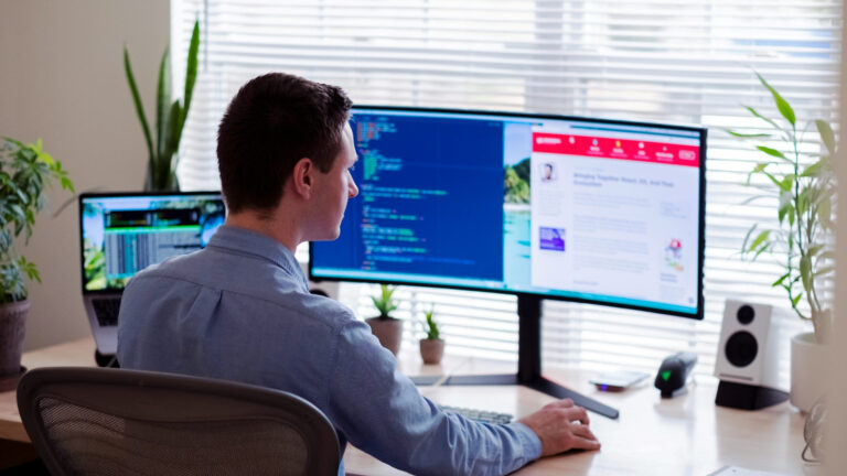 Web Development statistics