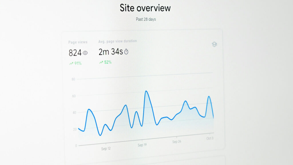 Website statistics