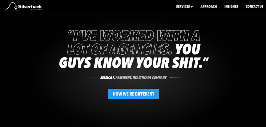 Silverback Strategies's Homepage