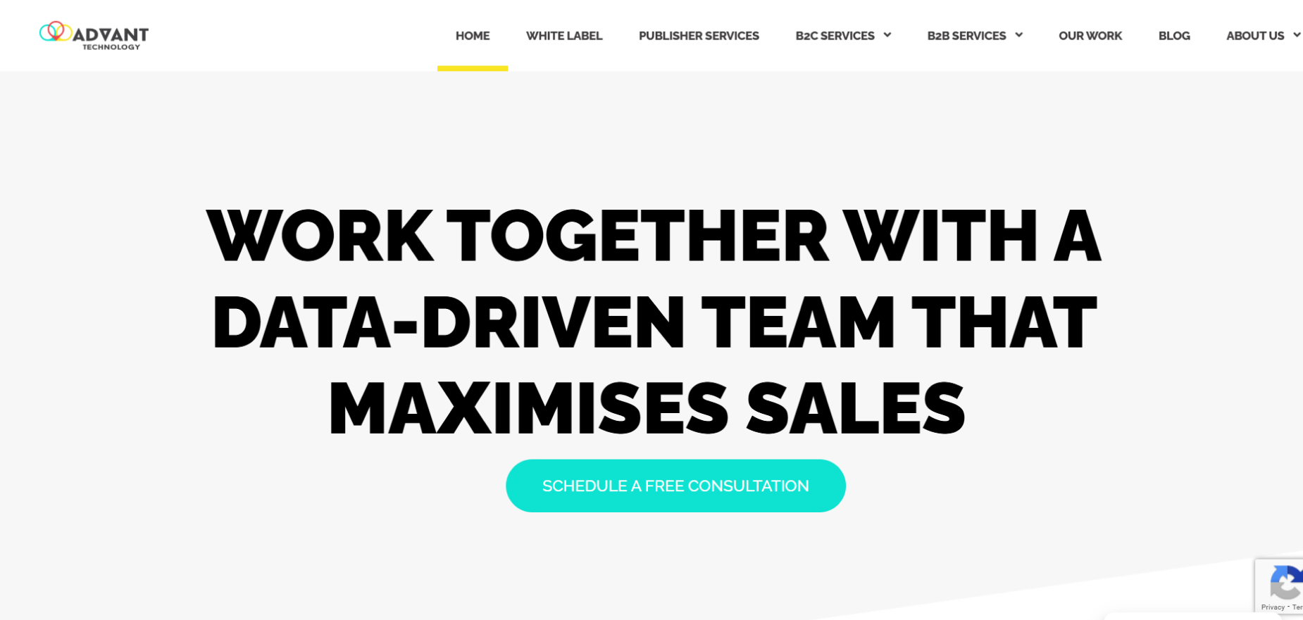 Advant Technology's Homepage