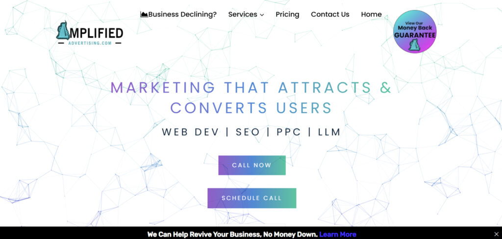 Amplified Advertising's Homepage