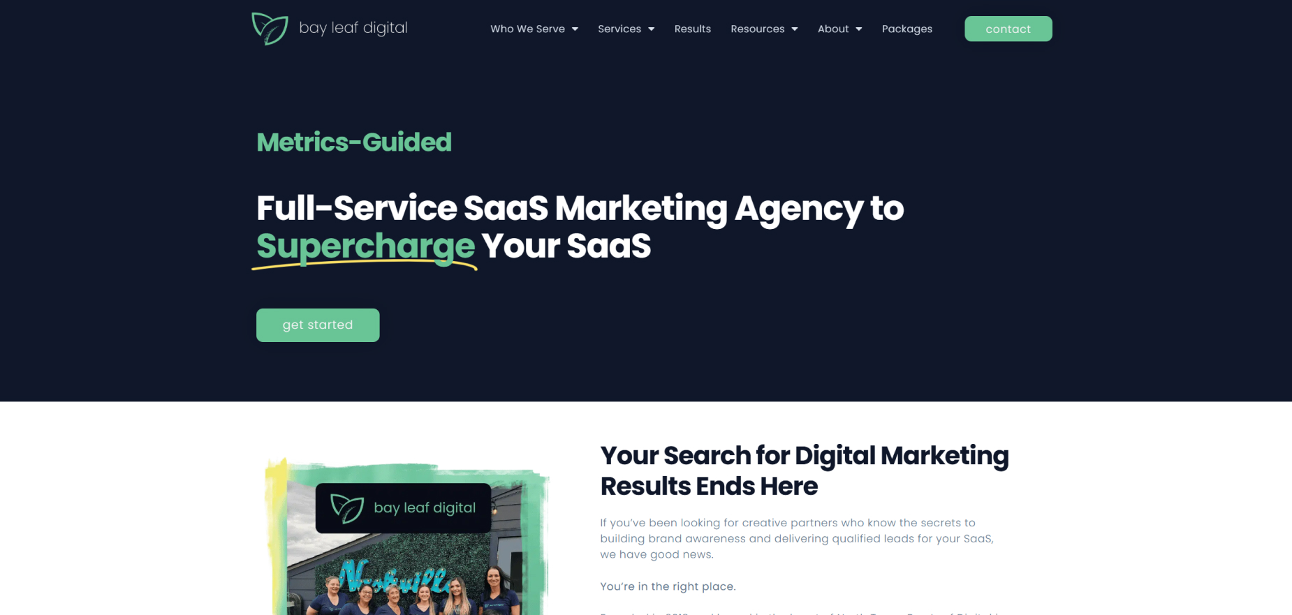 Bay Leaf Digital's Homepage