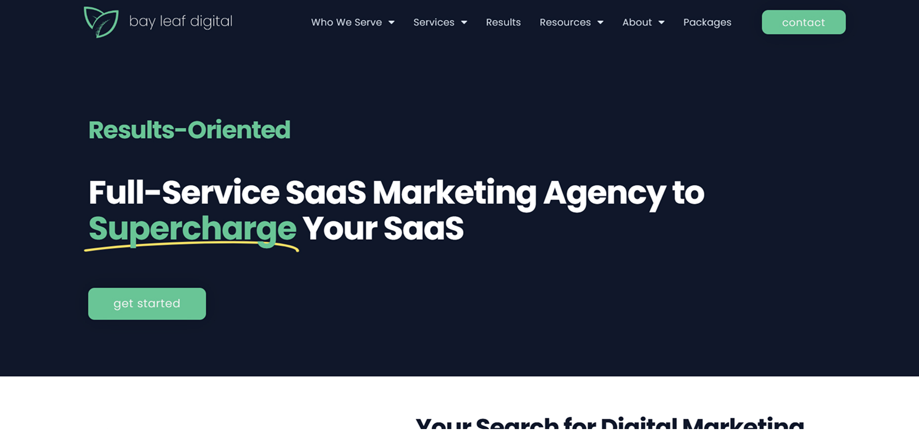 Bay Leaf Digital's Homepage