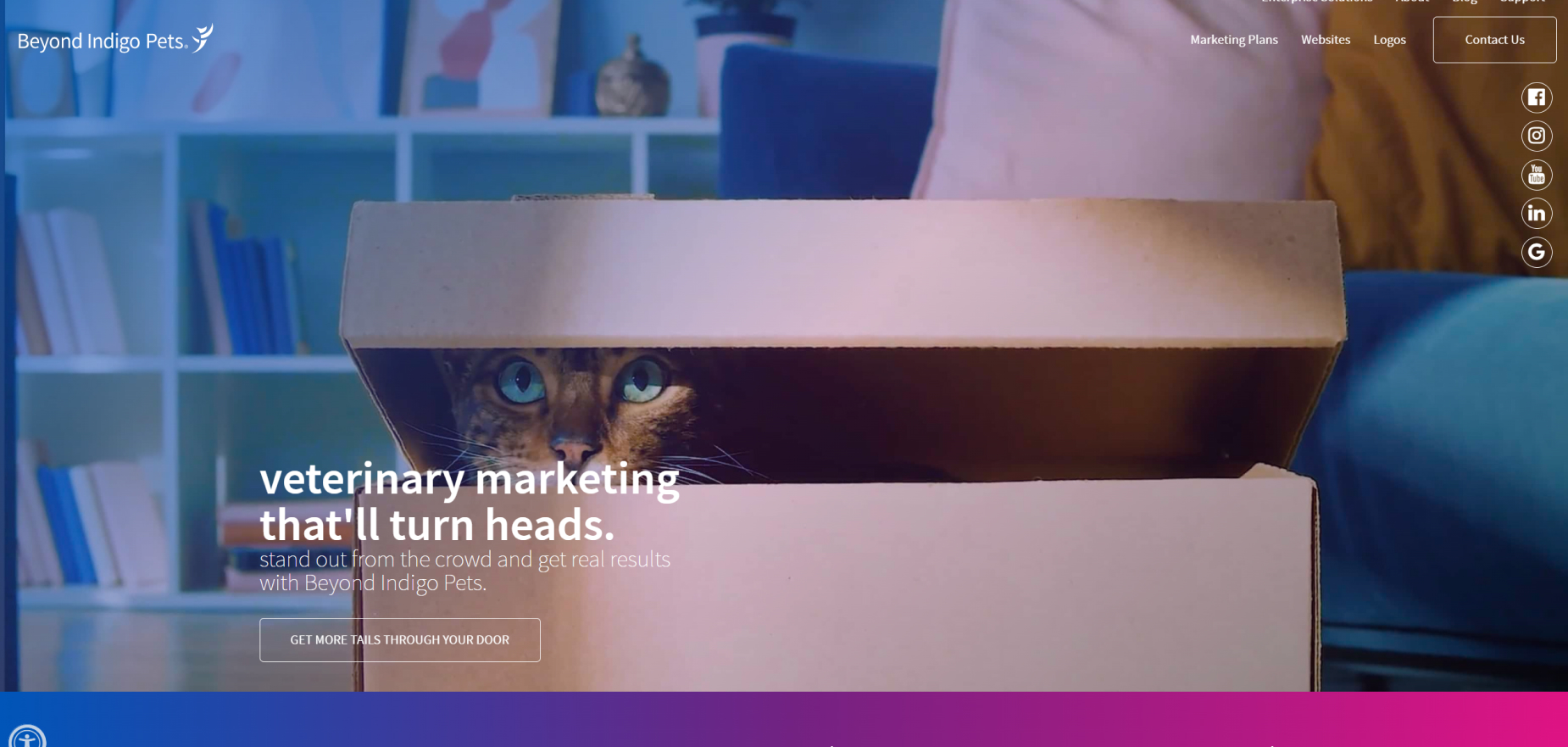 Beyond Indigo Pets's Homepage