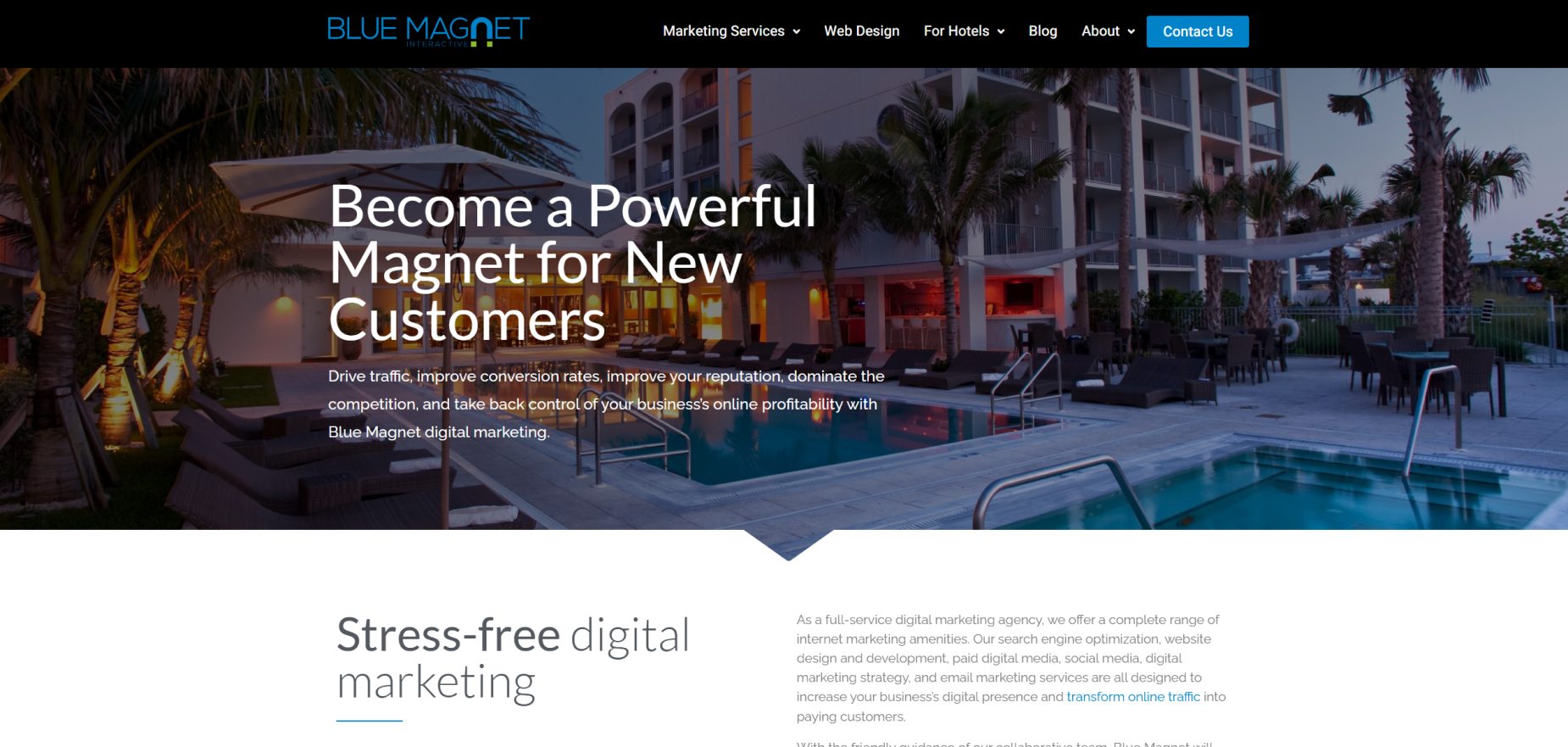 Blue Magnet Interactive's Homepage