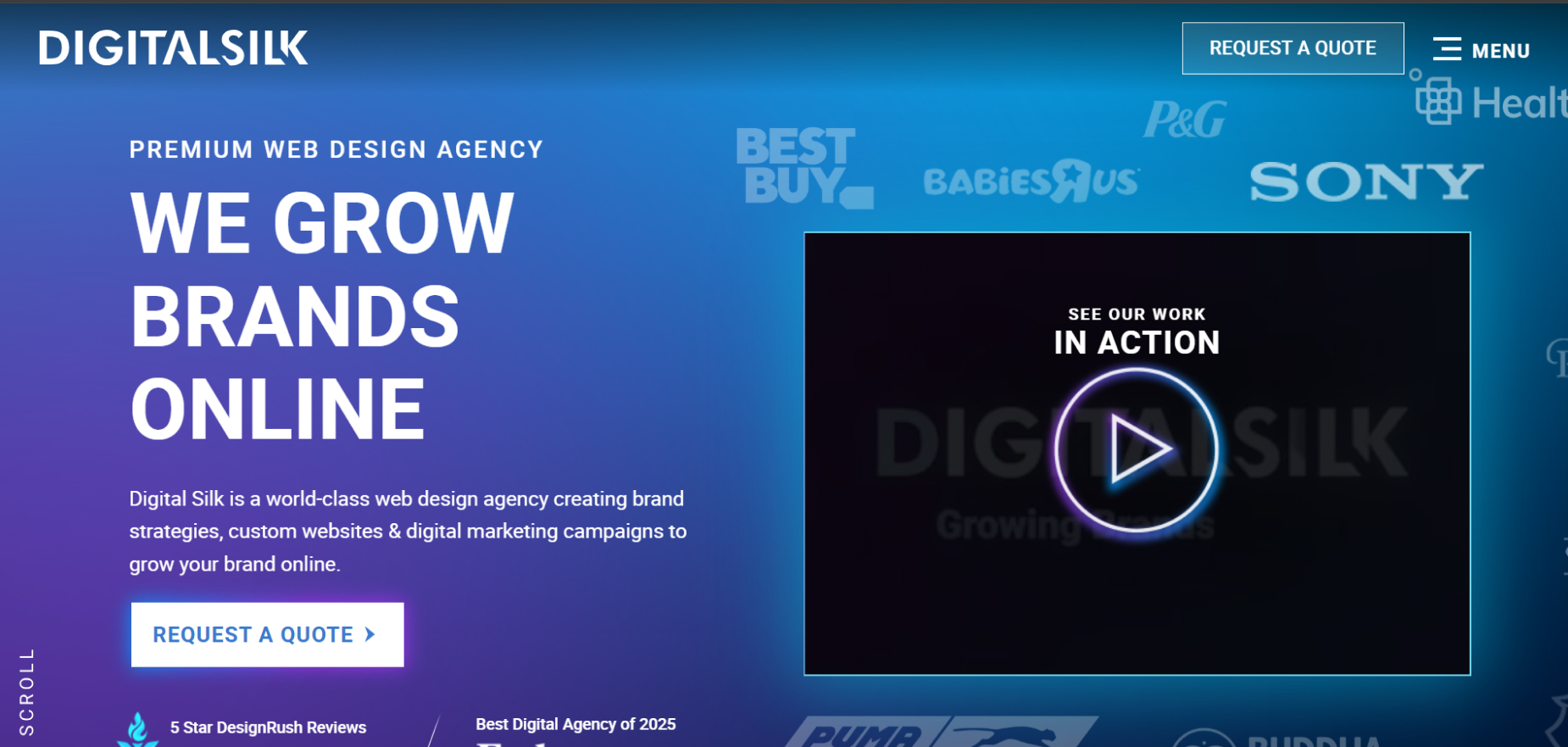 Digital Silk's Homepage