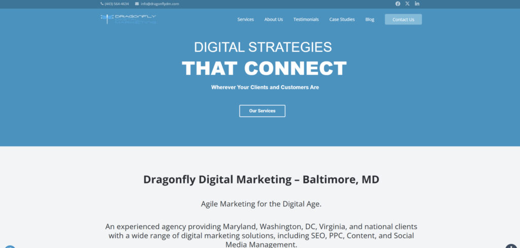 Dragonfly Digital Marketing's Homepage