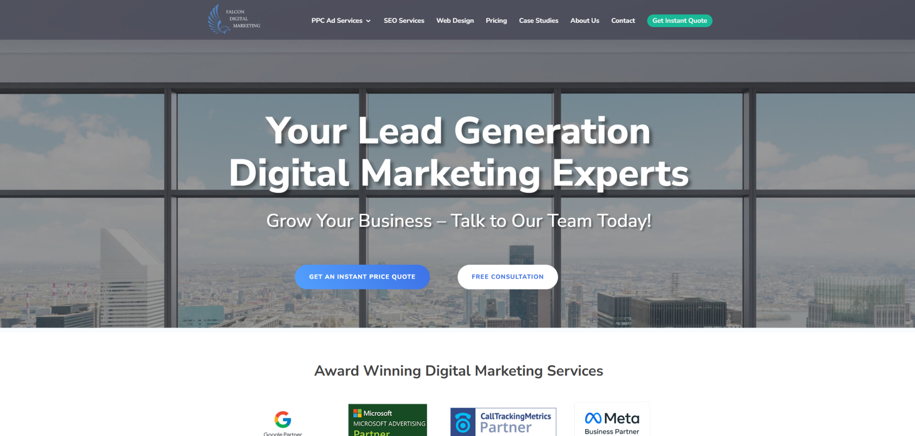 Falcon Digital Marketing's Homepage
