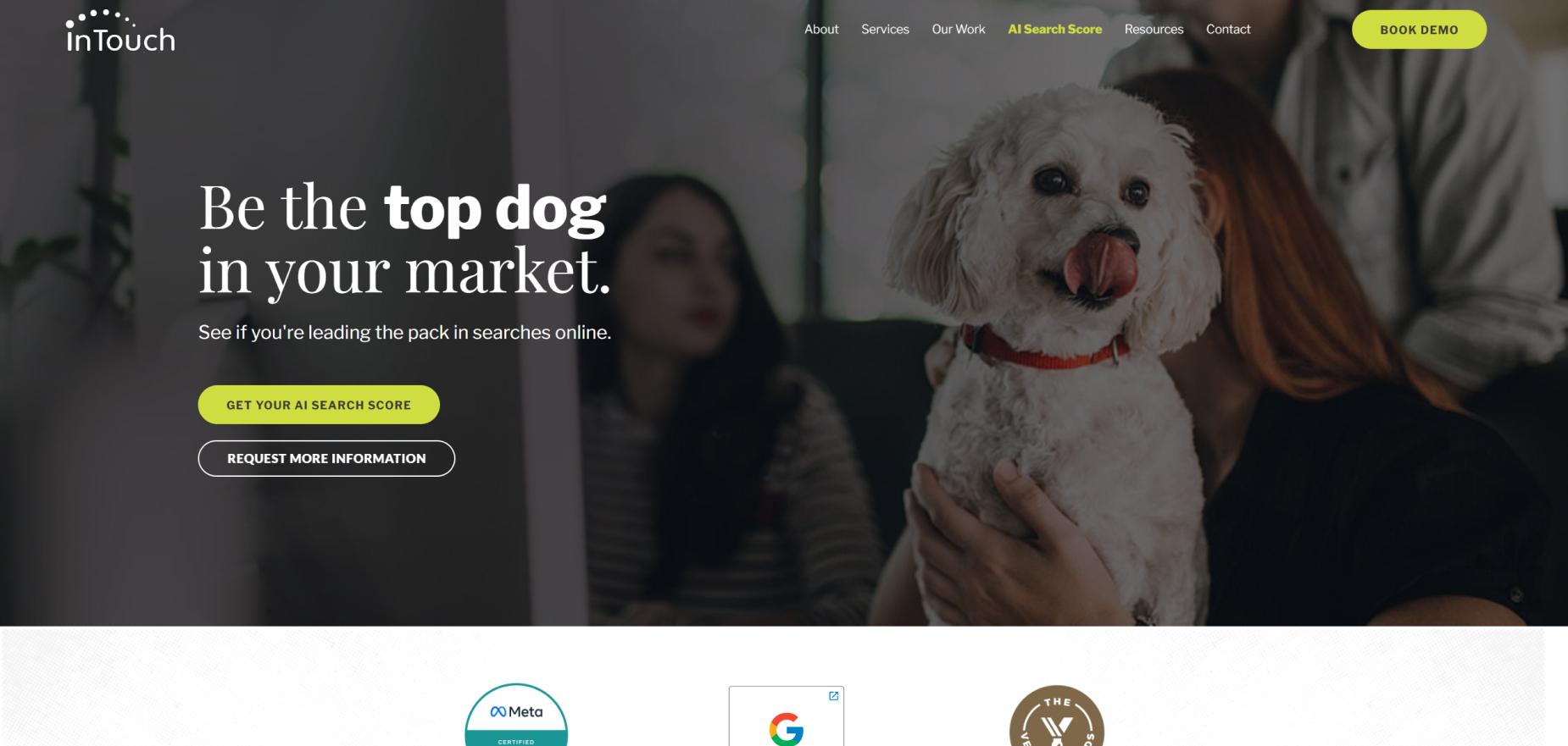 InTouch Vet's Homepage