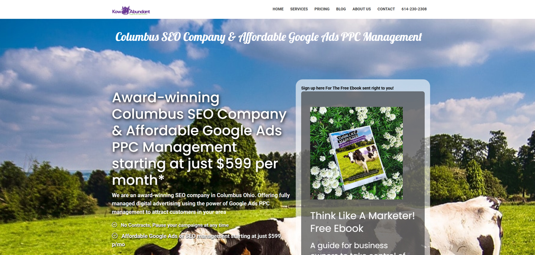 Kow Abundant's Homepage