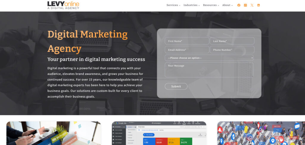 Levy Online's Homepage