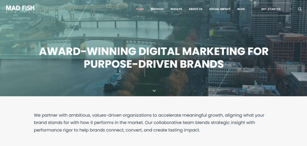 Mad Fish Digital's Homepage