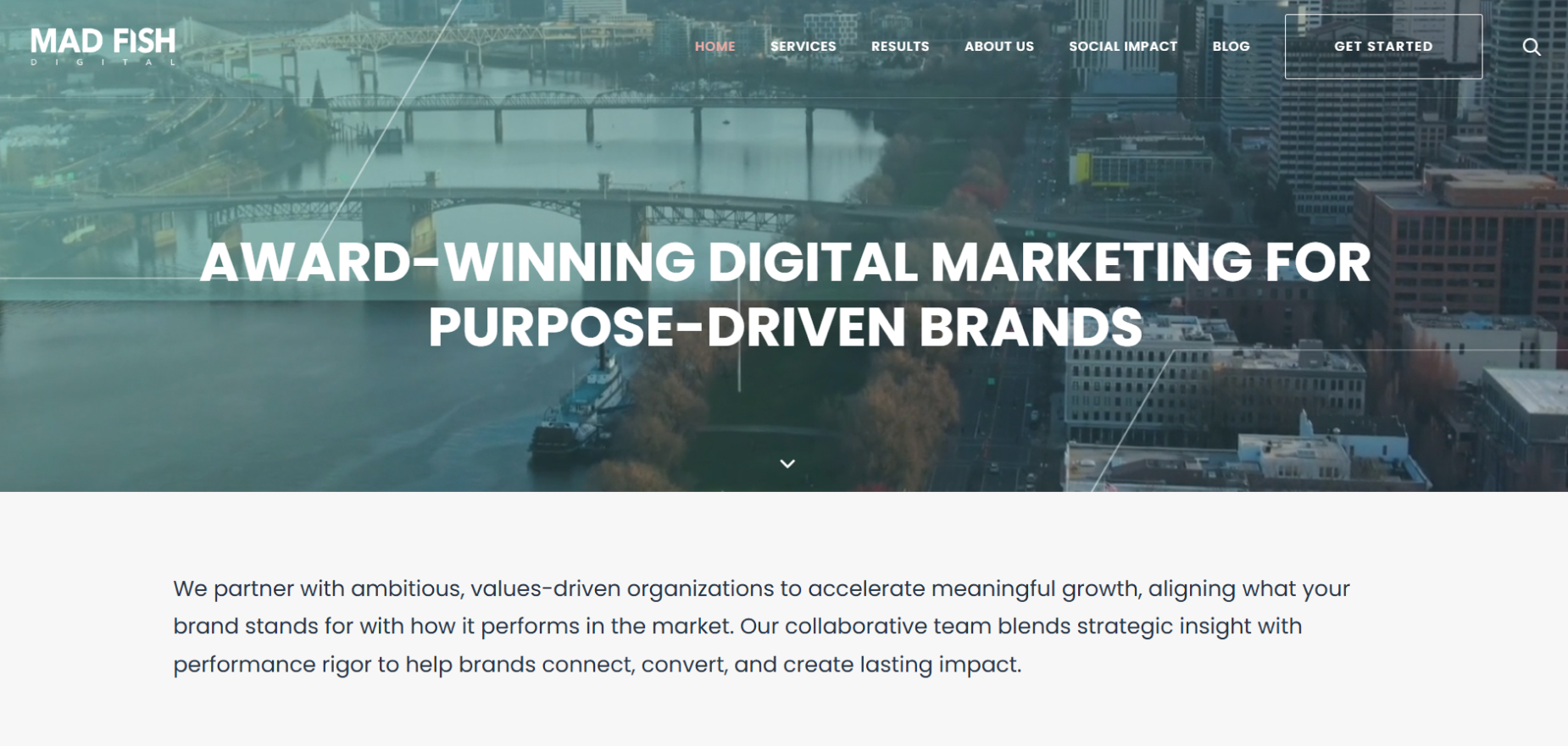 Mad Fish Digital's Homepage