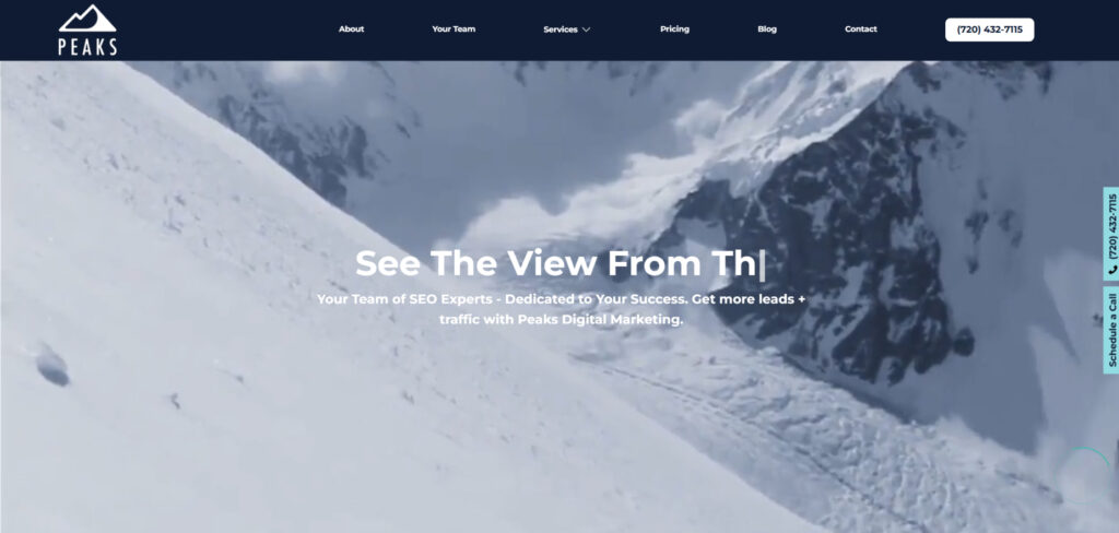 Peaks Digital Marketing's Homepage