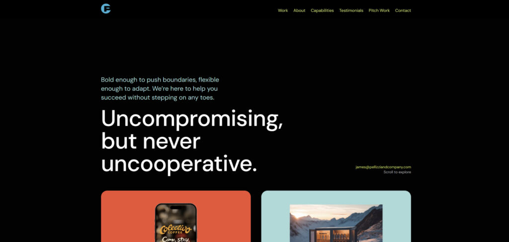 Pellizzi & Company's Homepage