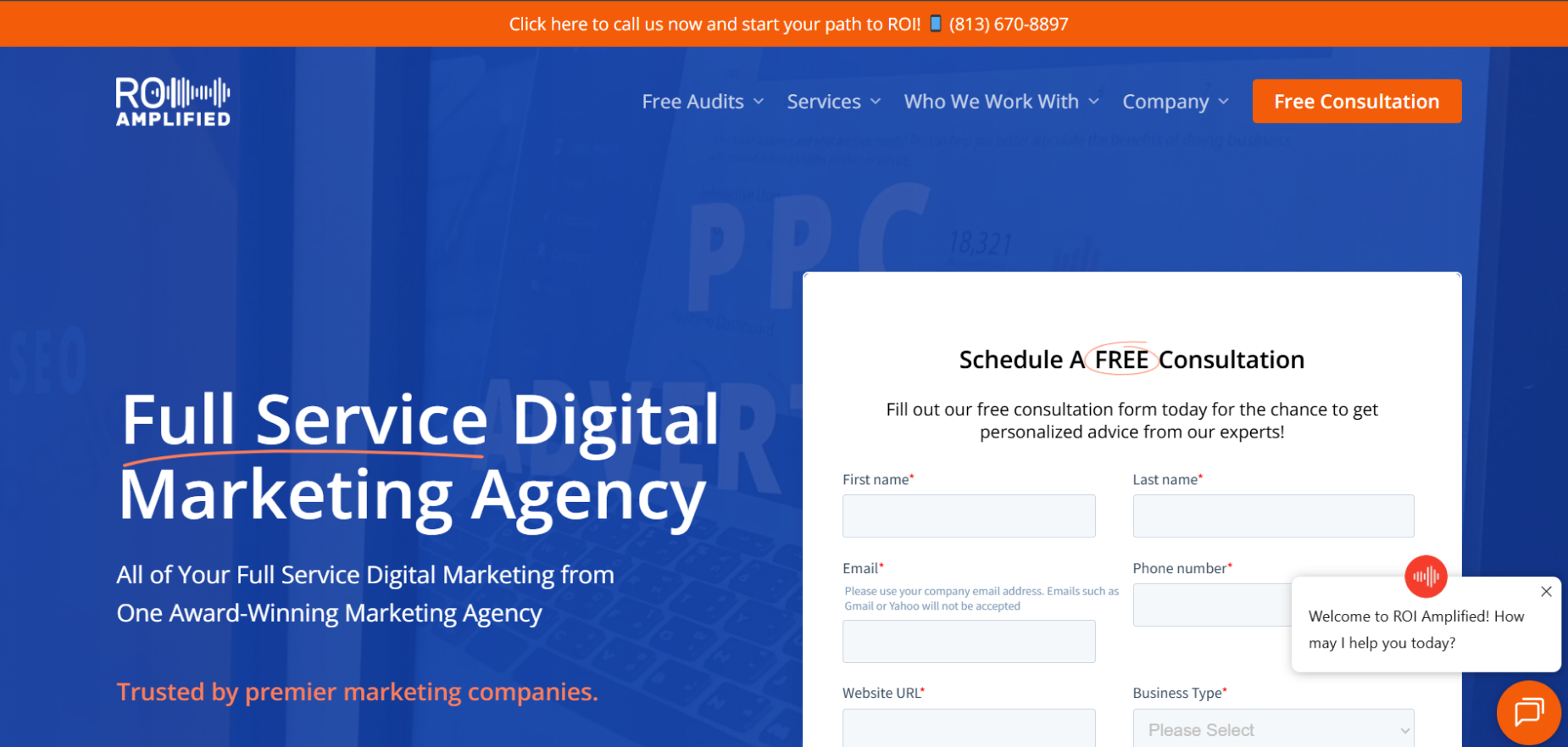 ROI Amplified's Homepage