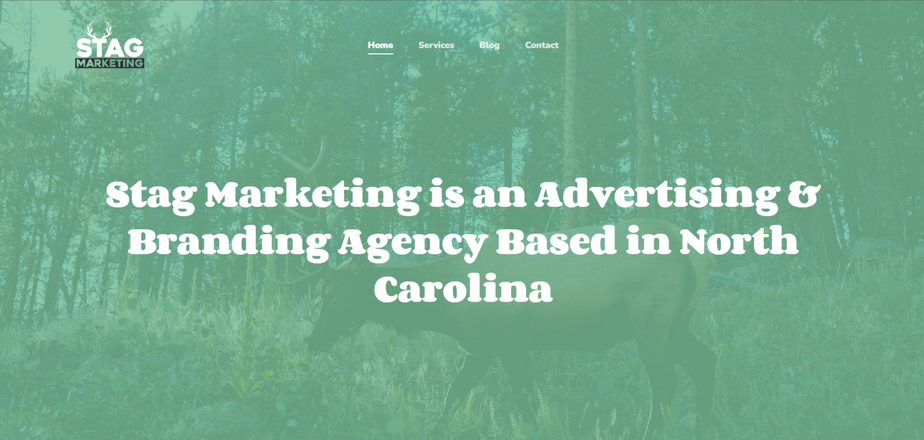 Stag Marketing's Homepage