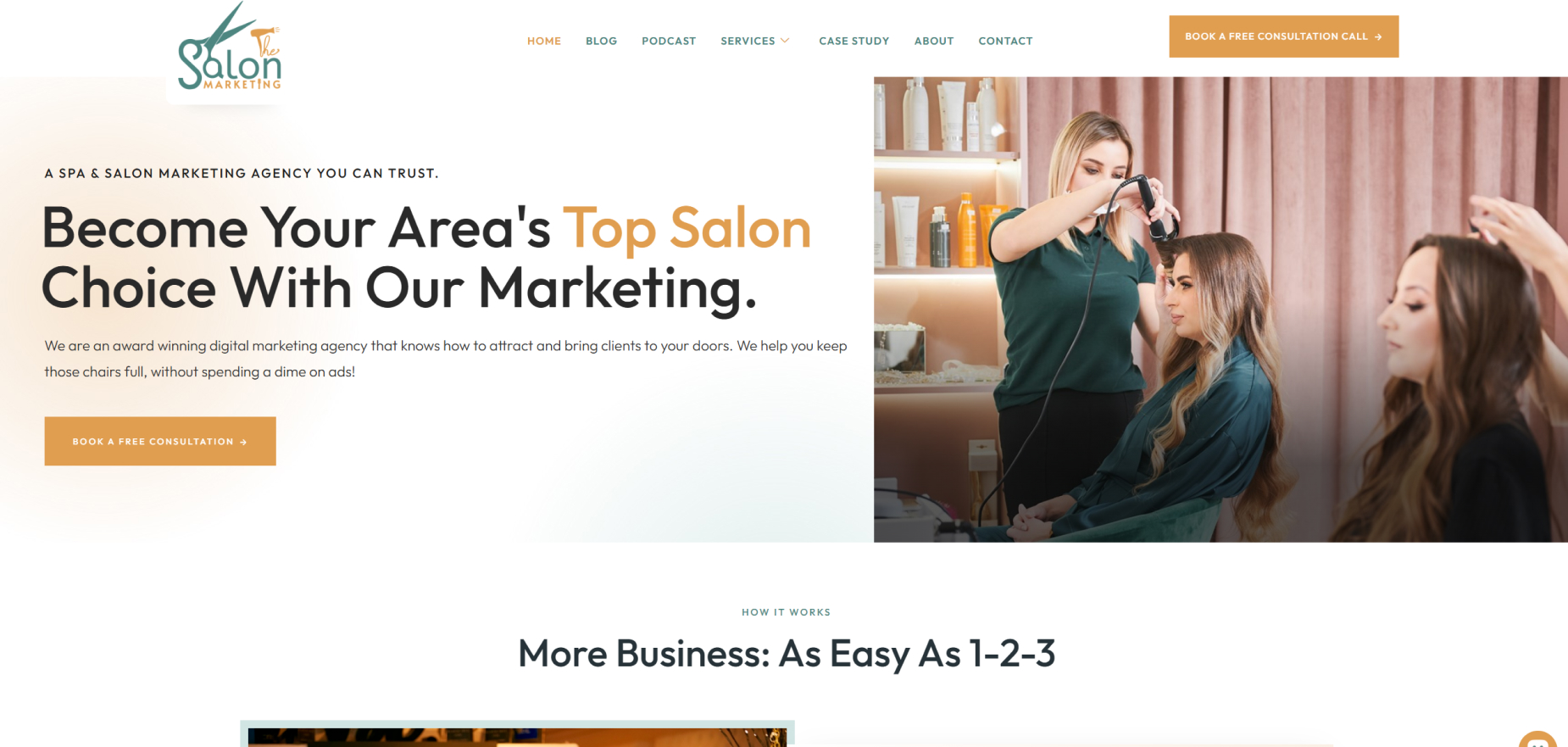 The Salon Marketing's Homepage