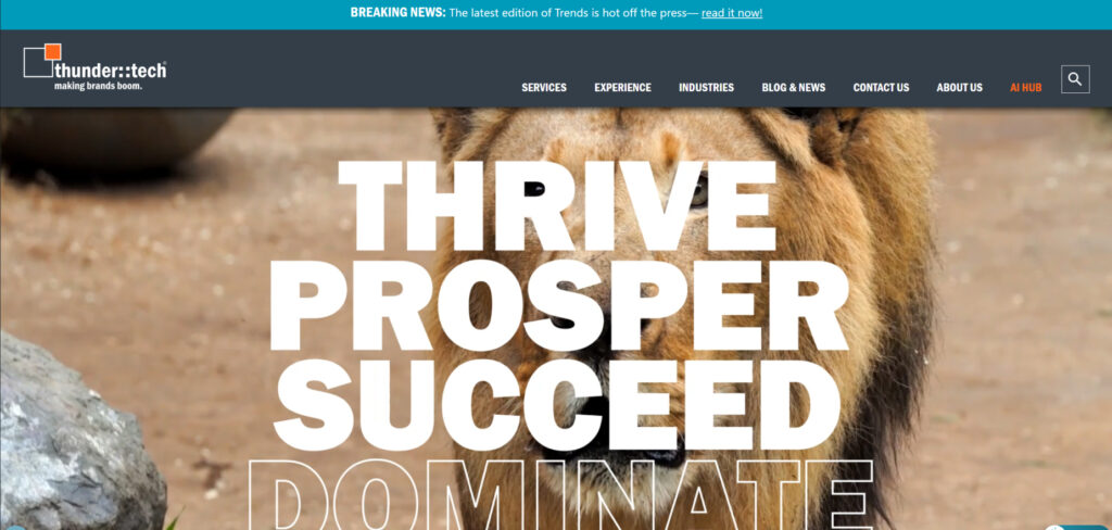 Thundertech's Homepage