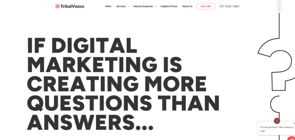 TribalVision's Homepage