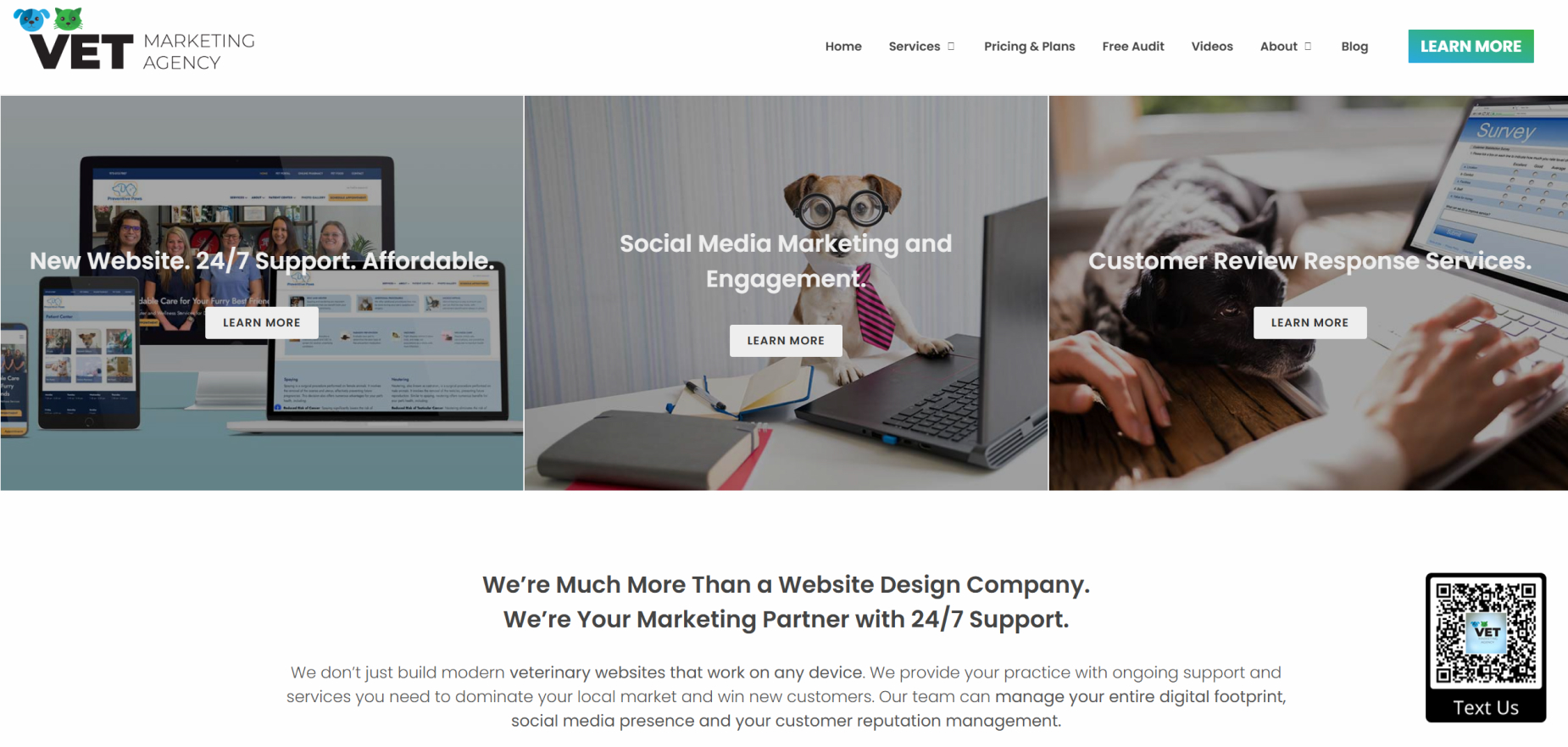 Vet Marketing Agency's Homepage