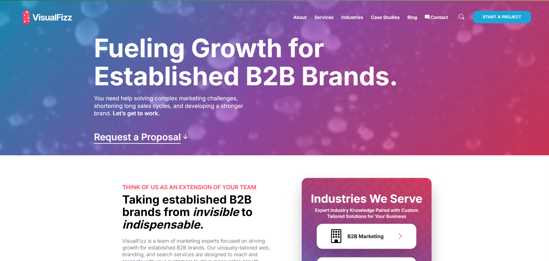 VisualFizz's Homepage