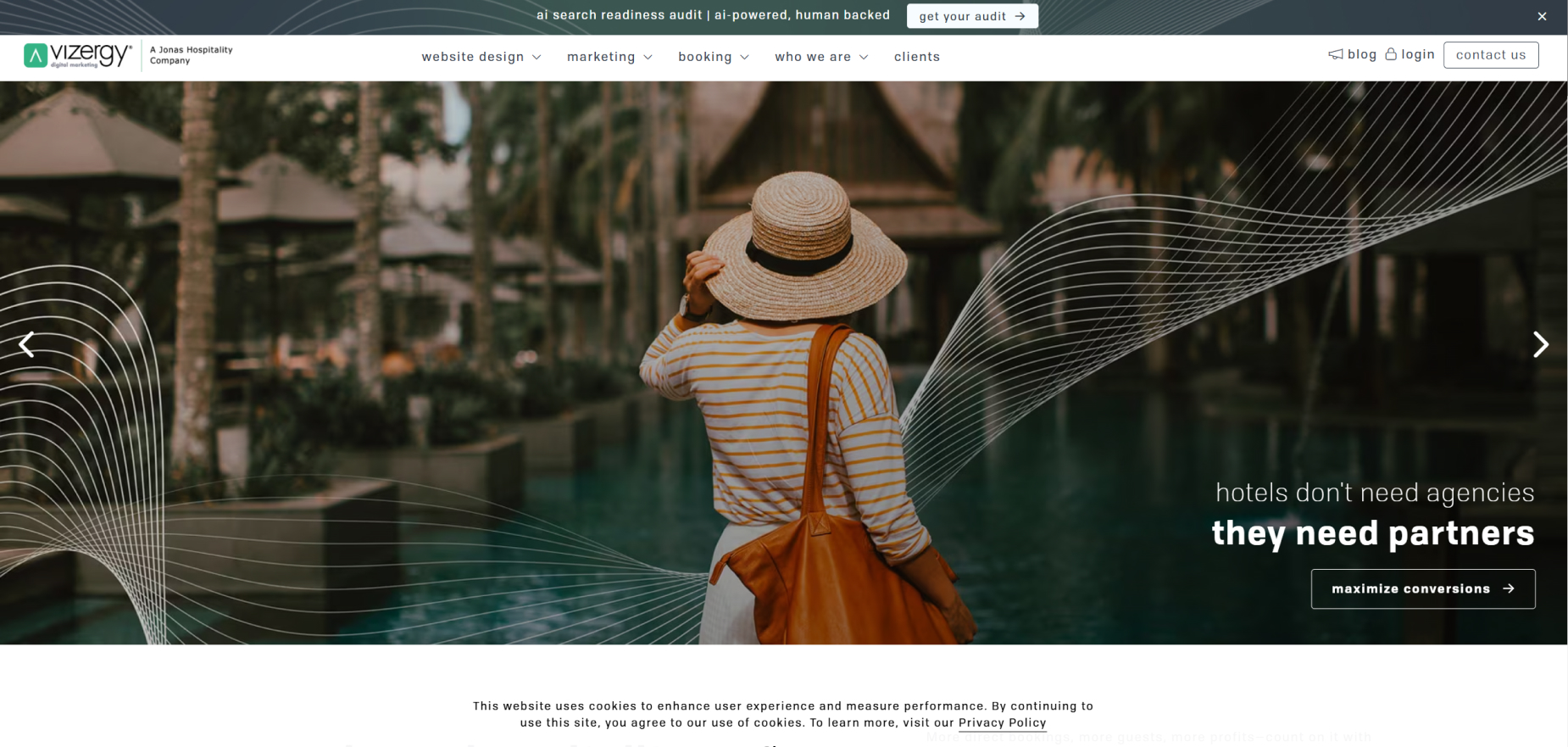 Vizergy Digital Marketing's Homepage