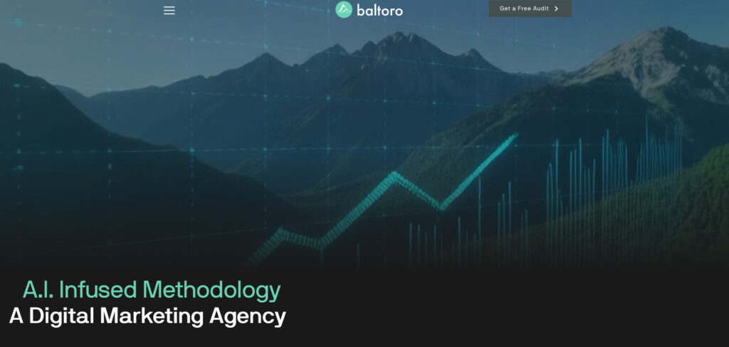 Baltoro Digital's Homepage