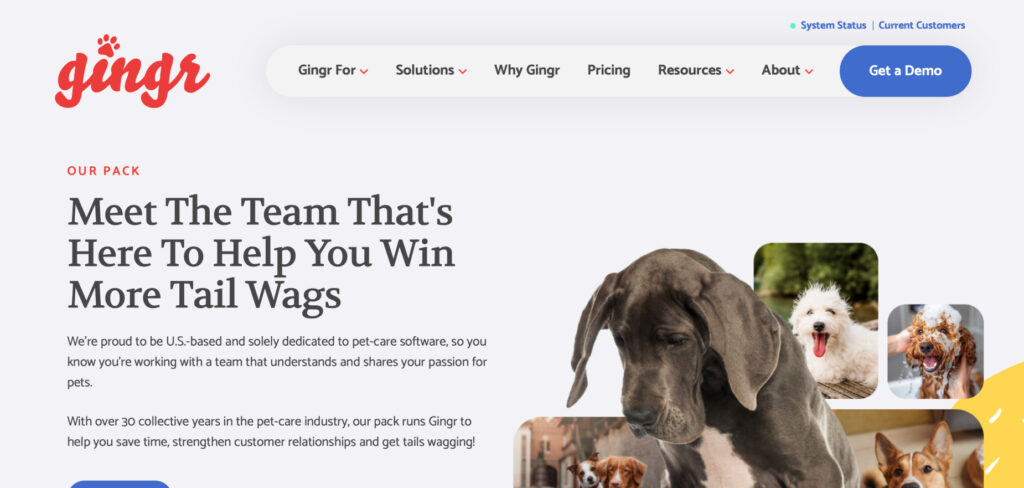 Gingr (VetMarketing)'s Homepage