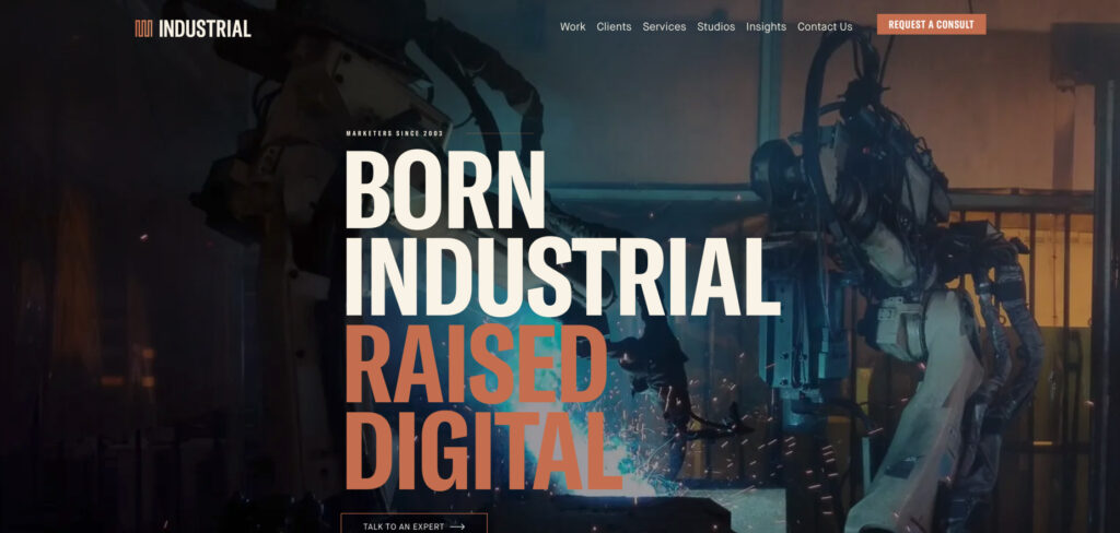 Industrial Strength Marketing's Homepage