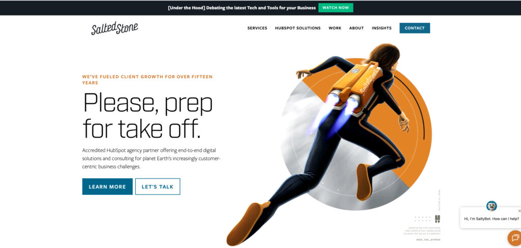 Salted Stone's Homepage