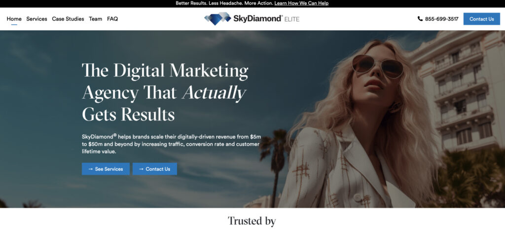 SkyDiamond Elite's Homepage