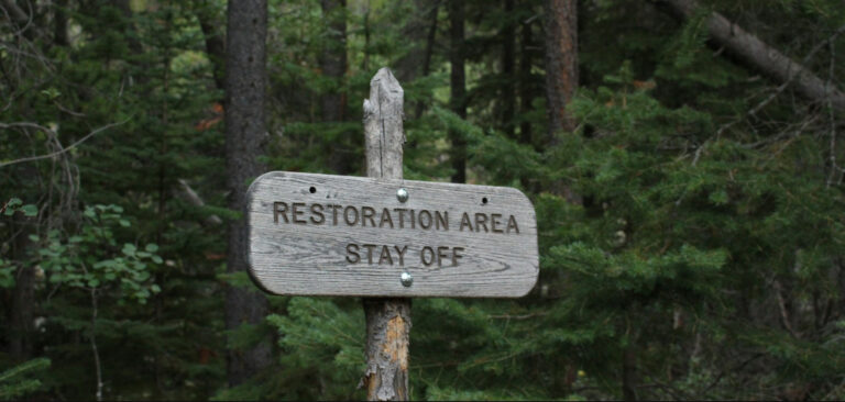 10 Best Restoration SEO Agencies in 2026