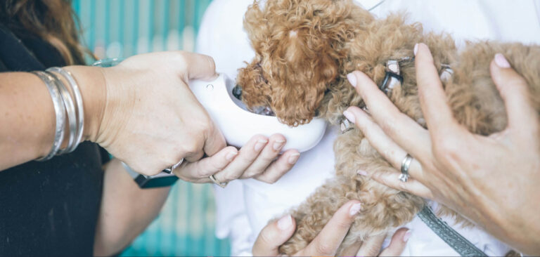 Veterinary Marketing Statistics 2026: 91+ Stats & Insights [Expert Analysis]