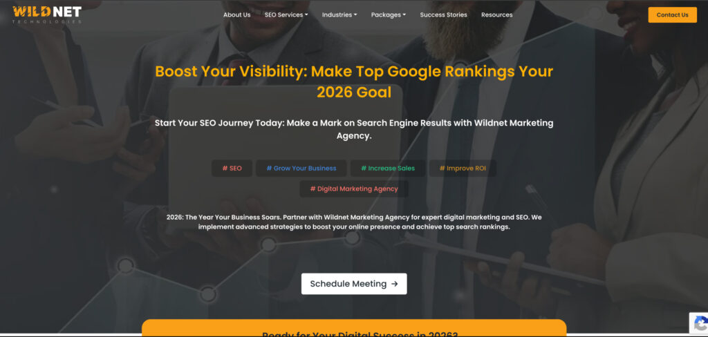 Wildnet Marketing Agency's Homepage