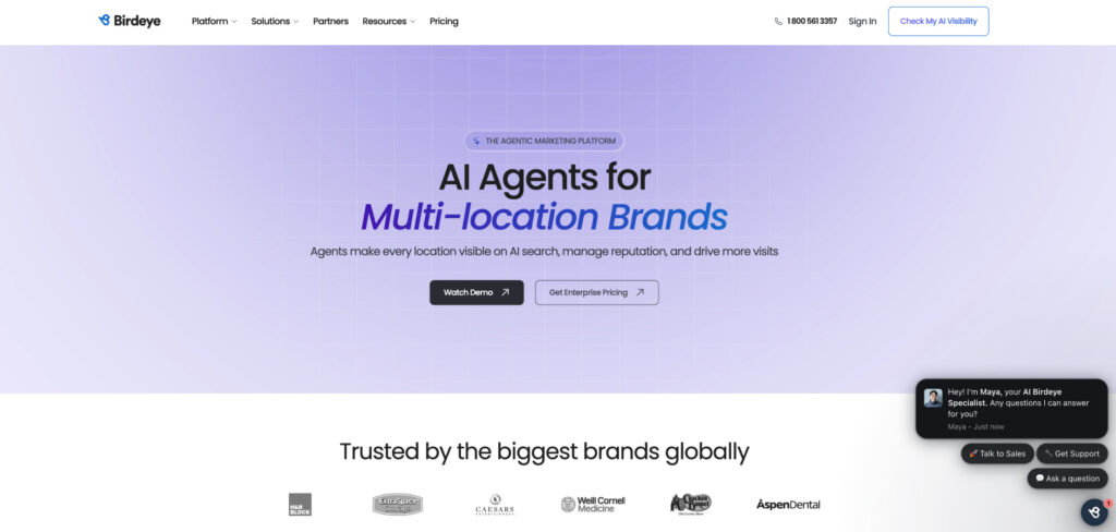 Birdeye's Homepage