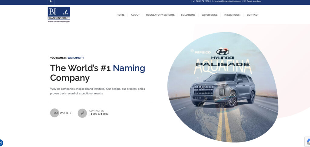 Brand Institute's Homepage