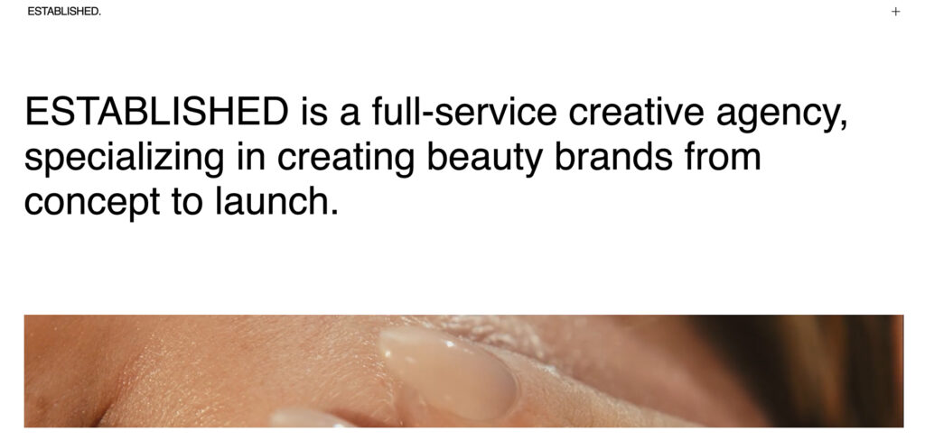 Established's Homepage