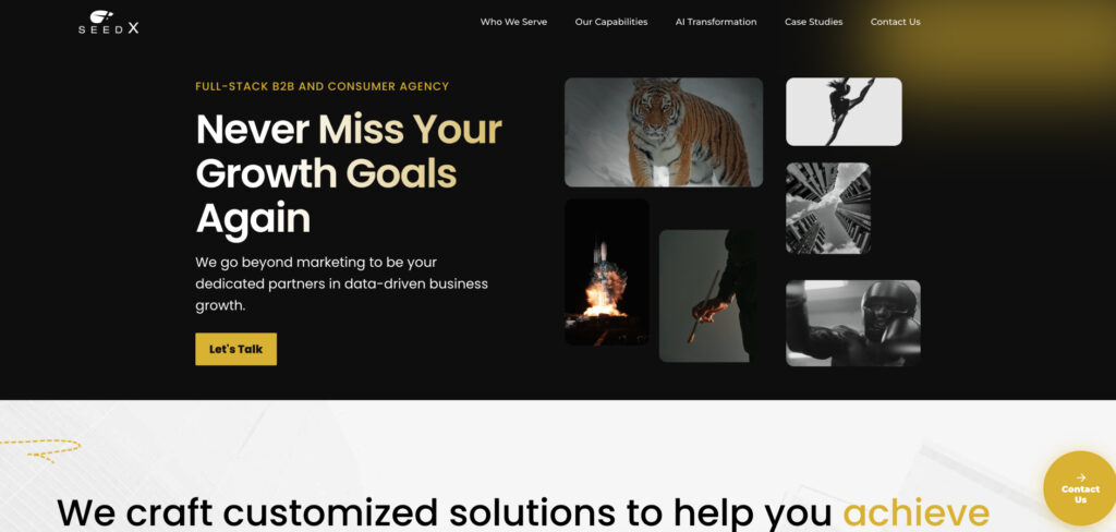 SeedX's Homepage