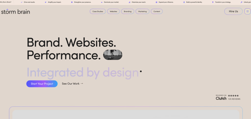 Storm Brain's Homepage