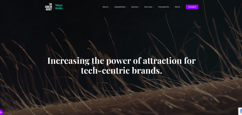 The Rubicon Agency's Homepage