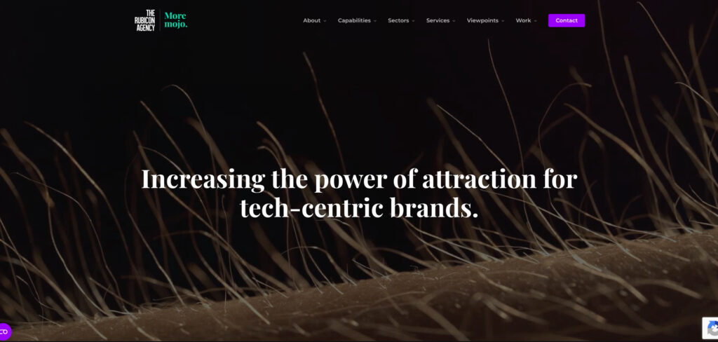 The Rubicon Agency's Homepage