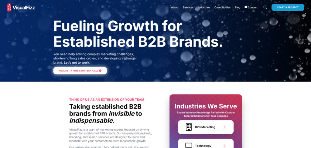 VisualFizz's Homepage